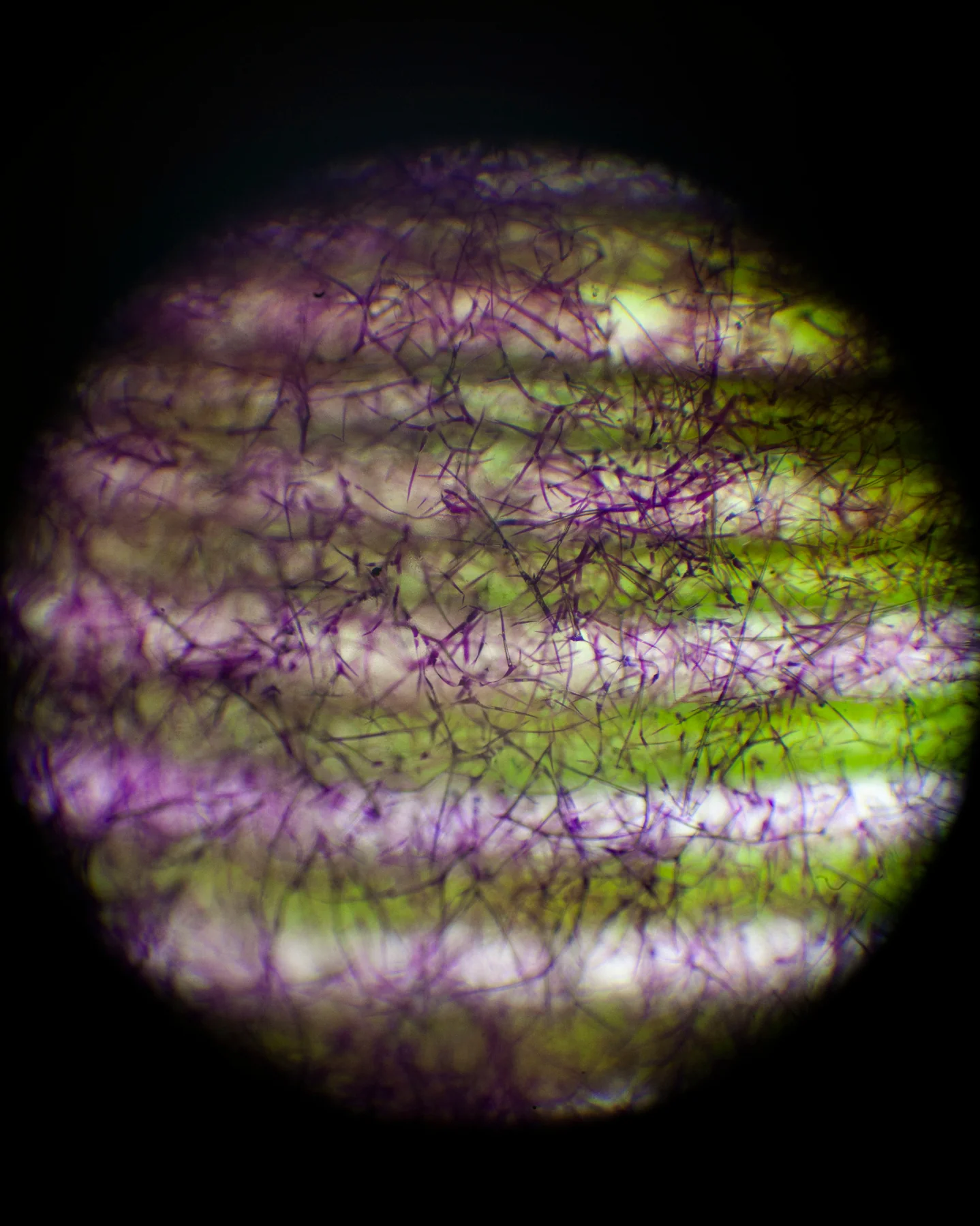281 Protective Fluid - Image 4